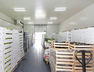 Pallet Wrappers for Food Banks